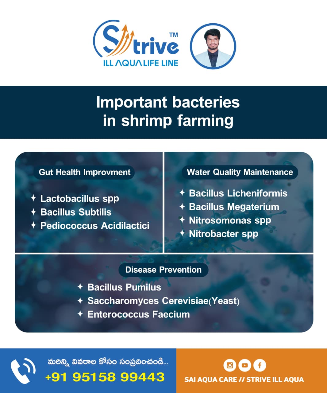 Awareness poster listing bacteria associated with shrimp gut health, water quality and disease prevention