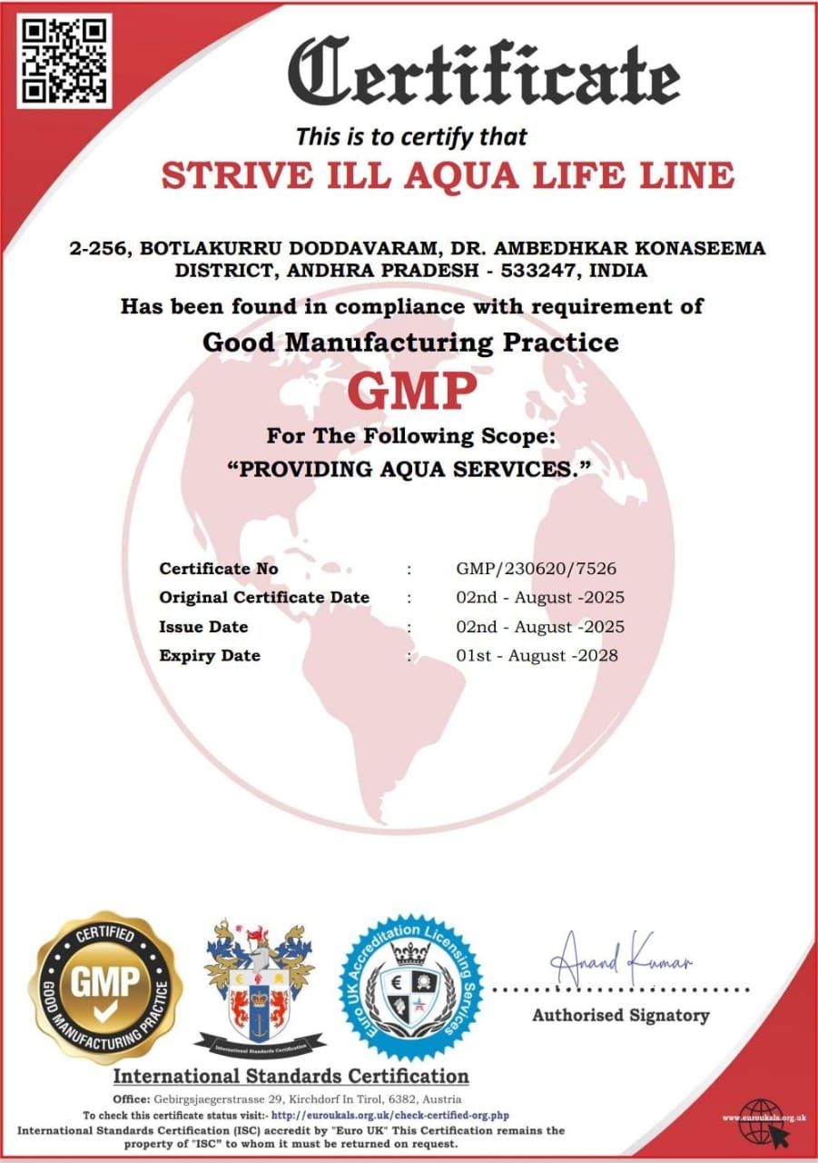 GMP (Good Manufacturing Practice) compliance certificate issued to STRIVE ILL AQUA LIFE LINE for providing aqua services