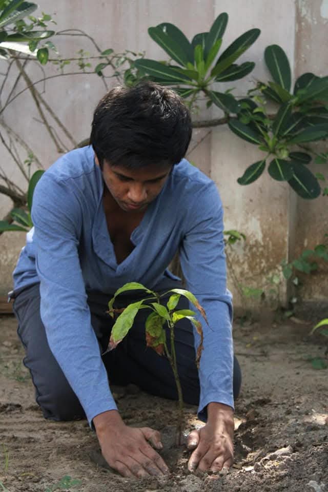 Sapling being planted