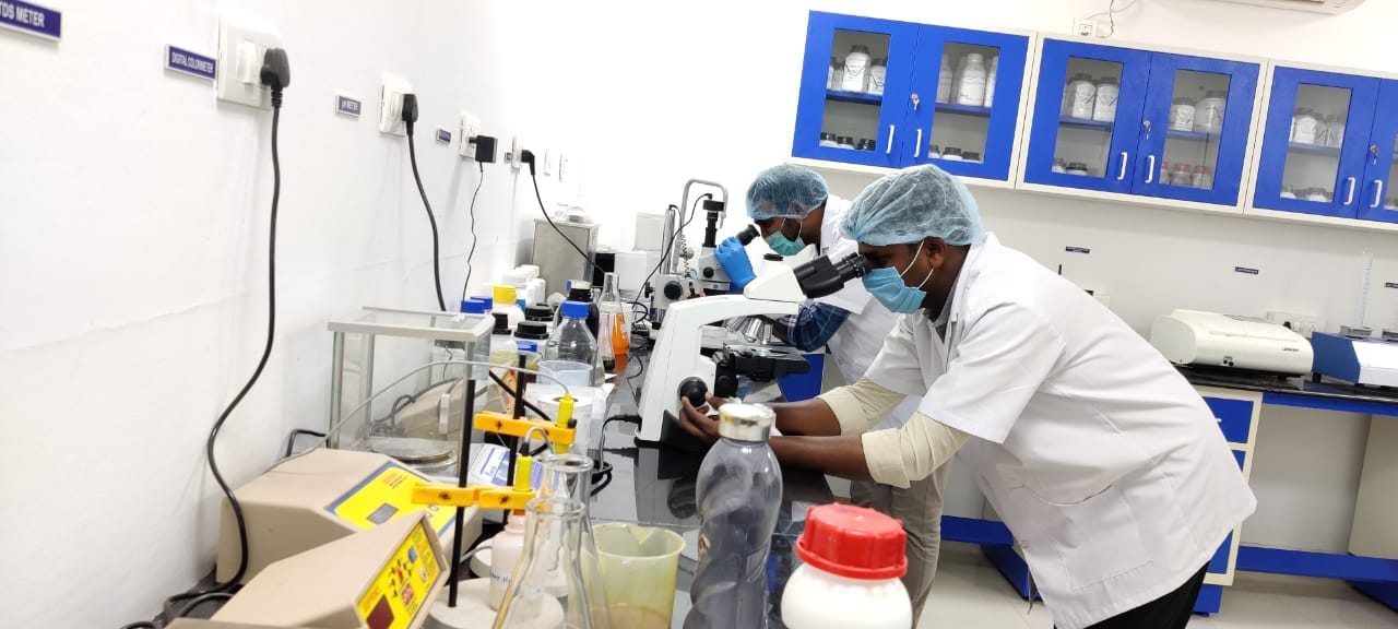 Two R&D lab staff examining pond samples under microscopes