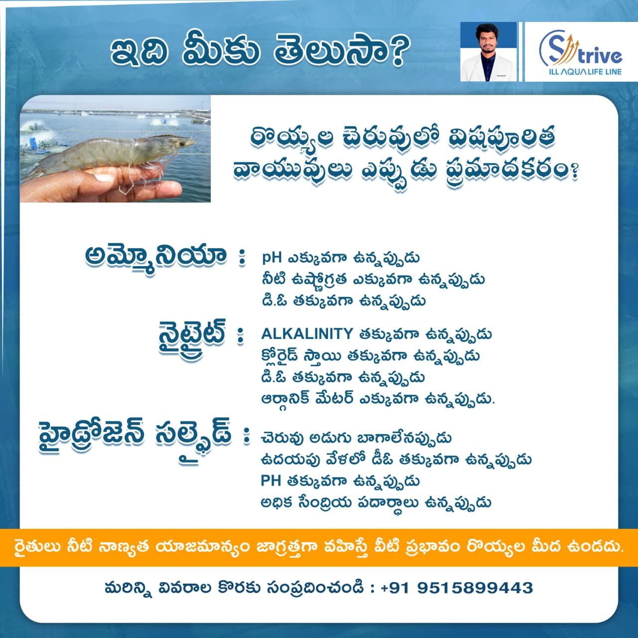 Telugu awareness poster on visible shrimp health signs and water-quality observations