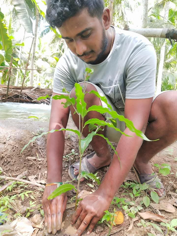 Volunteer planting a sapling near a water channel