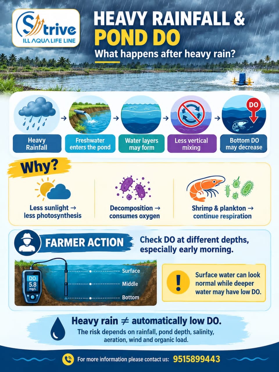 Awareness poster explaining how heavy rainfall can affect dissolved oxygen in shrimp ponds