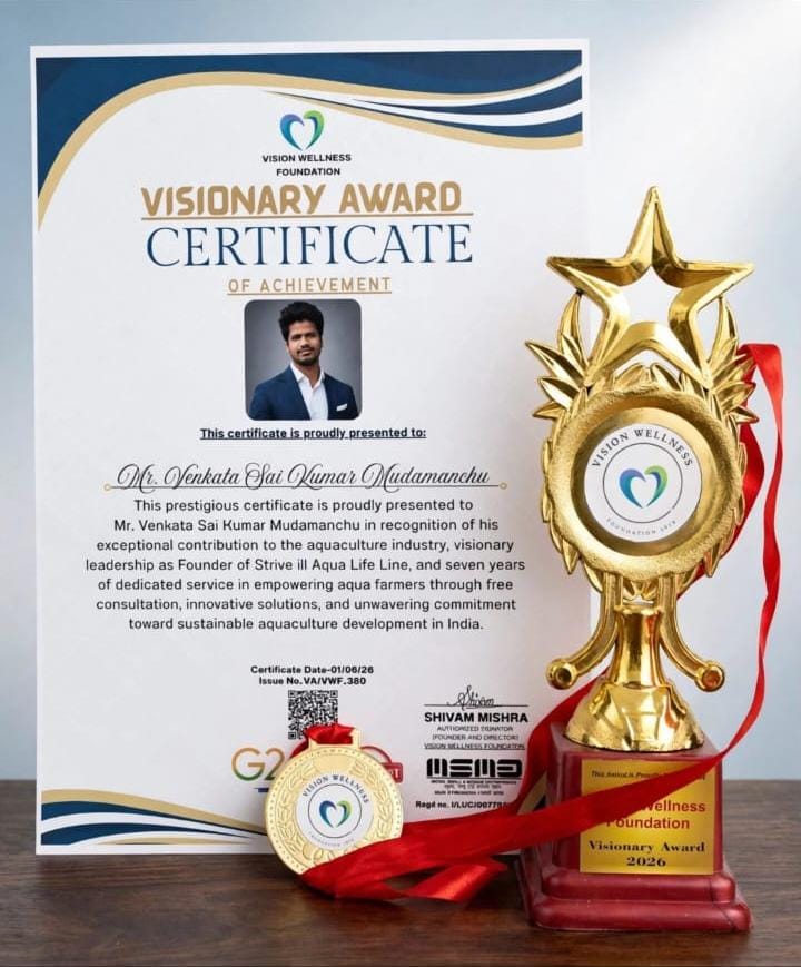 Visionary Award 2026 certificate and trophy from Vision Wellness Foundation, presented to Mr. Venkata Sai Kumar Mudamanchu