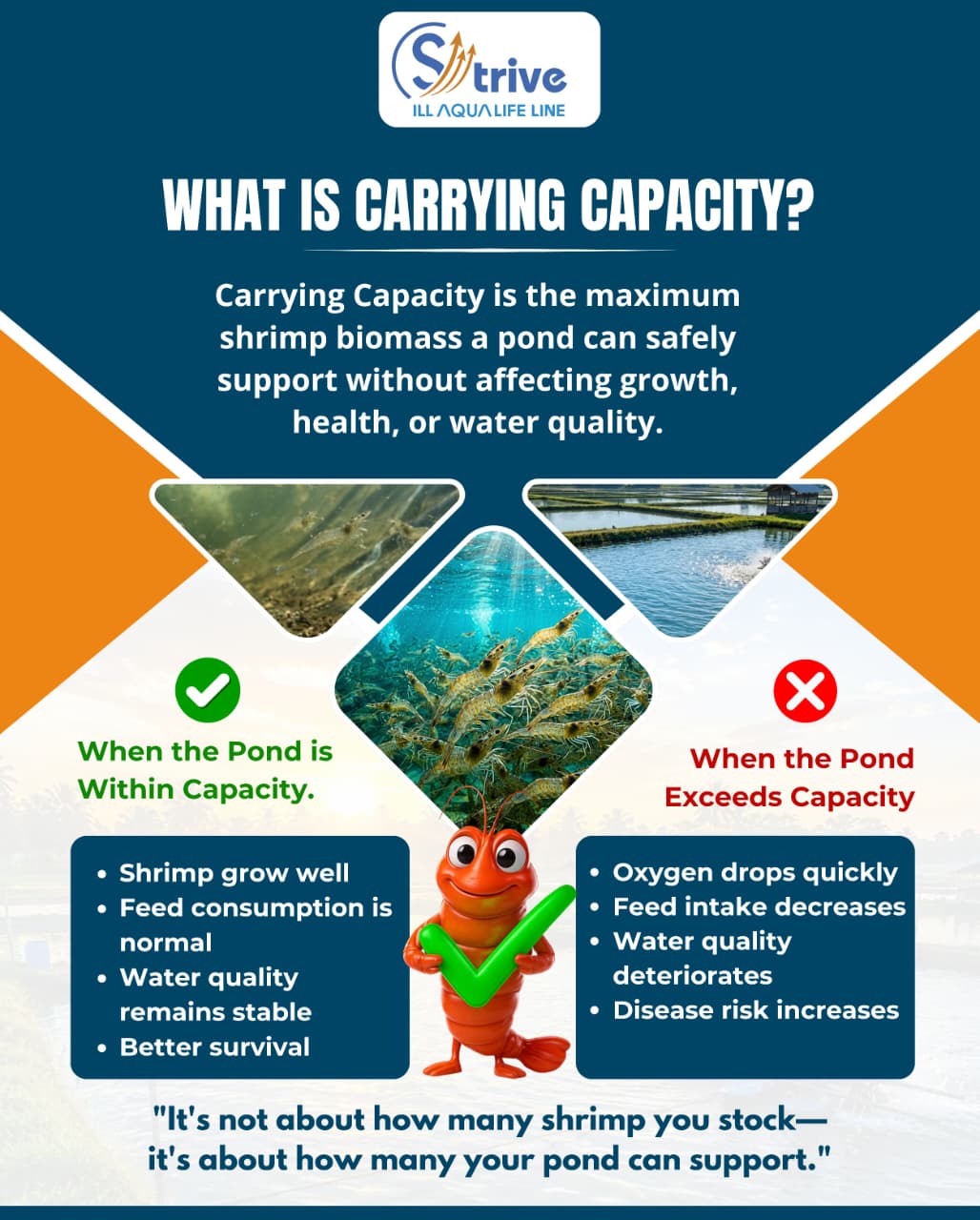 Awareness poster explaining shrimp pond carrying capacity and the risks of exceeding it